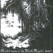 Morbid Tunes of the Black Angels, Part V