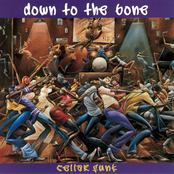 Down To The Bone: Cellar Funk