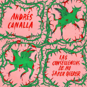 Las Consecuencias de No Saber Querer