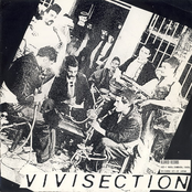 Vivisection/Genocide SS split 7''