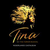 TINA - De Tina Turner Musical (Origineel Nederlands Castalbum)