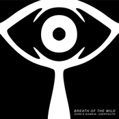 Breath of the Wild: Zora's Domain