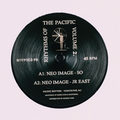 Rhythms Of The Pacific Volume 2