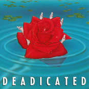 Deadicated