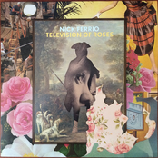 Television of Roses