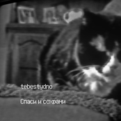 Спаси и сохрани