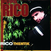 Ricothentik
