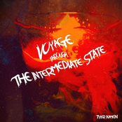 Voyage Through the Intermediate State