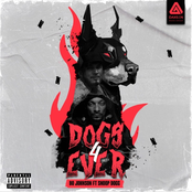 Bo Johnson: Dogs 4ever (feat. Snoop Dogg)