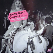 Deep Disco Culture Vol One