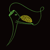 Kiss The Brain