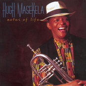 Bone Thru The Nose by Hugh Masekela