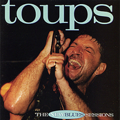 Wayne Toups: Toups: The New Blues Sessions