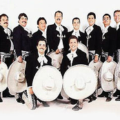 mariachi silvestre vargas