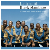 This Is The Way We Do by Ladysmith Black Mambazo