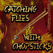 catching flies with chopsticks