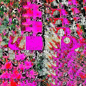 Usually I Don't Care for Flowers