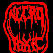 Necrotoxic