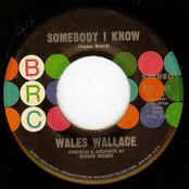 Wales Wallace