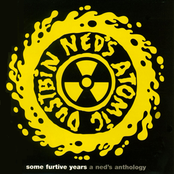 Some Furtive Years A Ned's Anthology