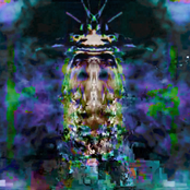 Cālīgō Nēbūlā