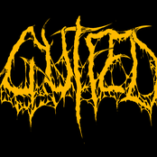 Collection Of Ripped Limbs