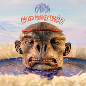 Chilled Monkey Brains