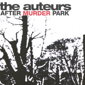 Unsolved Child Murder by The Auteurs