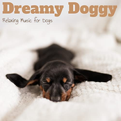 Dreamy Doggy (Relaxing Music for Dogs)