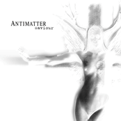 alternative matter