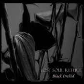 Black Orchid EP