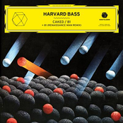 81 by Harvard Bass