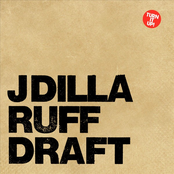 Wild by J Dilla