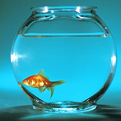 I Got the Post Rock Blues