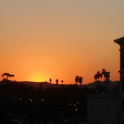 A word to you who have great possessions (Gate 1979-1989)