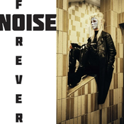 Noise Forever