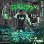 Sophisticated Ignorance 2