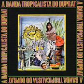 A Banda Tropicalista do Duprat