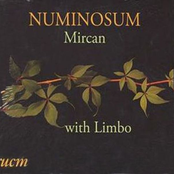 Numinosum