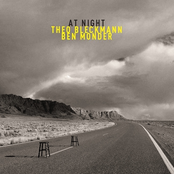 At Night by Theo Bleckmann And Ben Monder