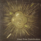 Ideal Free Distribution