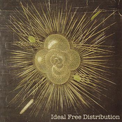 Red Letter Days by Ideal Free Distribution