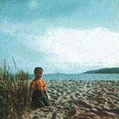 Nevermynd The Hillocks