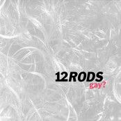 12 Rods: Gay (Ep)