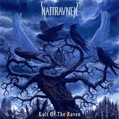 Nattravnen