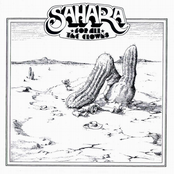 Fool The Fortune by Sahara