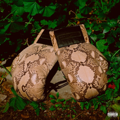THEODORE & ANDRE - Single