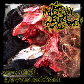 Cranial Devastation