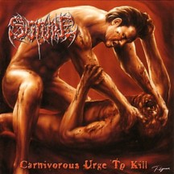 Torn From Mortal Coil by Suture