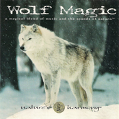 Wolf Magic